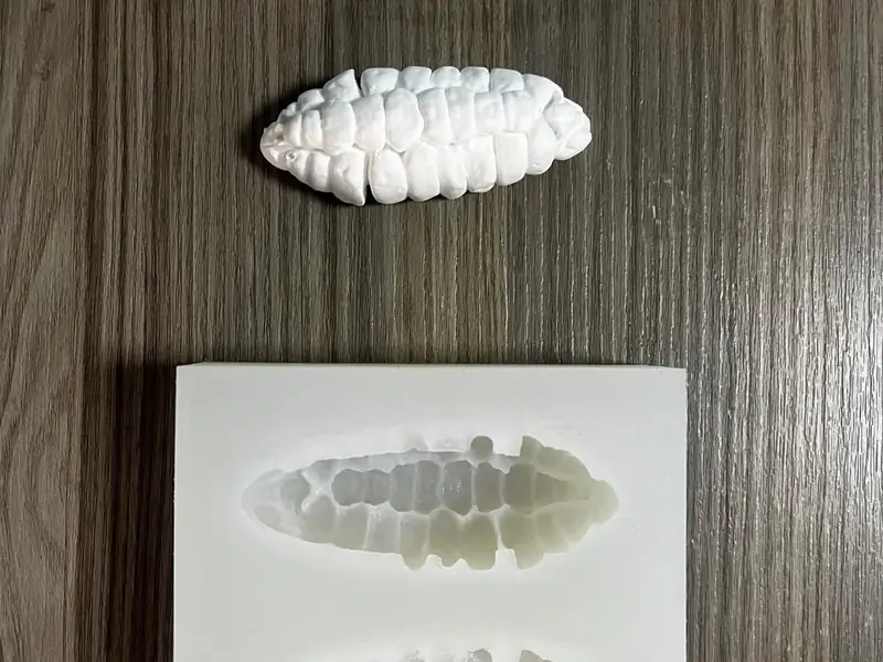 Candle & Soap Molds