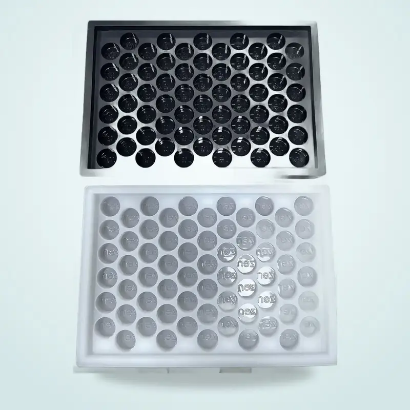 Chocolate Molds